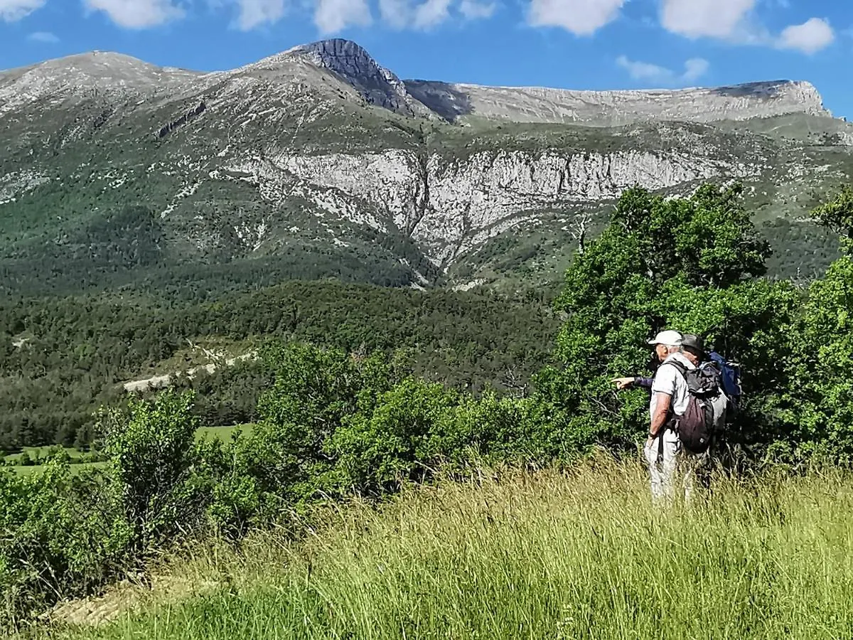 La Peyregoune, Logement En Pleine Nature Et Table D'Hotes Blieux Frühstückspension