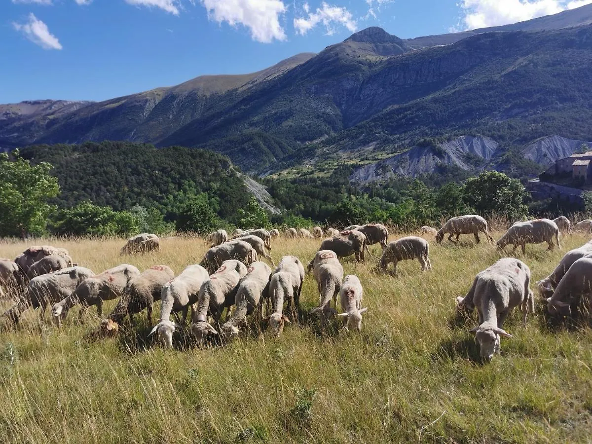 Frühstückspension La Peyregoune, Logement En Pleine Nature Et Table D'Hotes Blieux